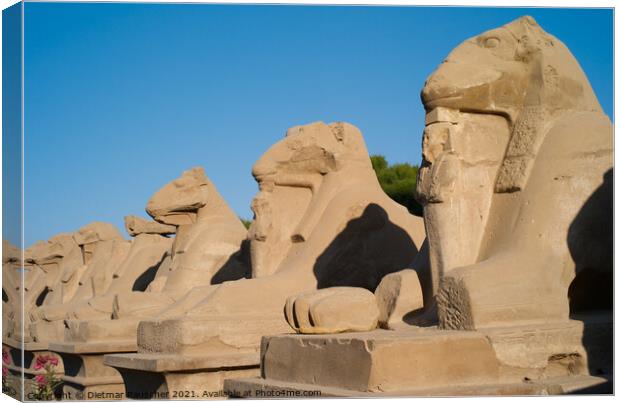 Alley of the Ram Headed Sphinxes in Luxor Canvas Print by Dietmar Rauscher
