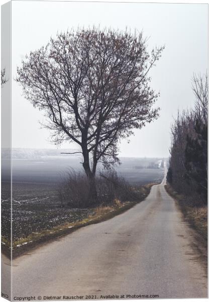 Dreary, Lonely Country Road in Winter in Czech Republic Canvas Print by Dietmar Rauscher