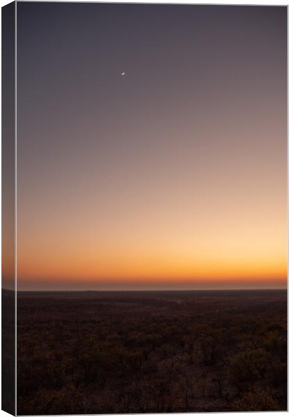 Sunset with Moon in African Savanna Canvas Print by Dietmar Rauscher