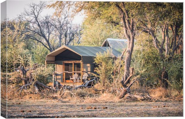 Luxury Safari Tent in a Camp in the Okavango Delta, Botswana, Af Canvas Print by Dietmar Rauscher