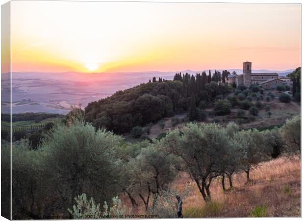 Sunrise near Montalcino at the Convento dell'Osservanza  Canvas Print by Dietmar Rauscher