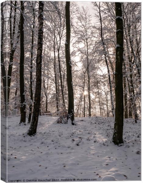 Winter Forest Landscape in Lower Austria Canvas Print by Dietmar Rauscher