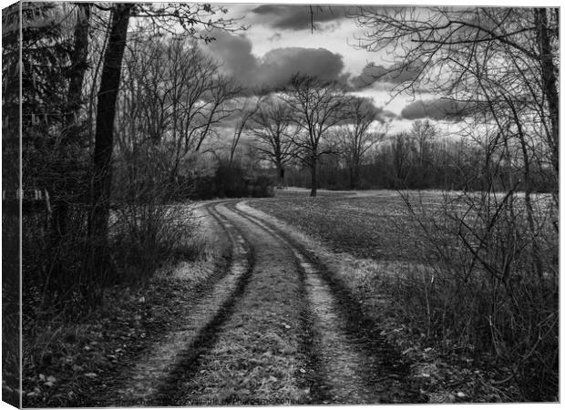 Dirt Road through Field and Forest Monochrome Canvas Print by Dietmar Rauscher