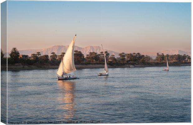 Felucca Sail Boat on the River Nile in Egypt Canvas Print by Dietmar Rauscher