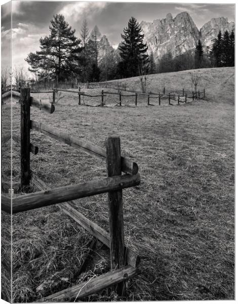 Mountain Pasture and Fence in the Dolomites Canvas Print by Dietmar Rauscher
