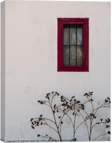 Red Window and White Wall Canvas Print by Dietmar Rauscher