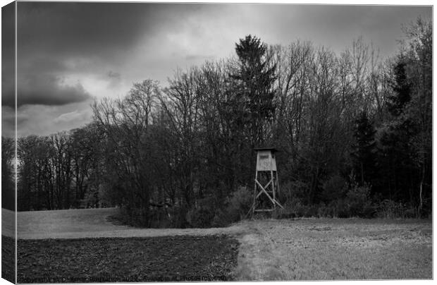 Raised Perch on the Forest Edge in Mostviertel, Lower Austria Canvas Print by Dietmar Rauscher