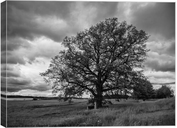 Oak Tree, Wayside Cross and Landscape in Bohemia Canvas Print by Dietmar Rauscher