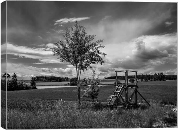 Landscape with Tree, Fields and Raised Perch in Bohemia Canvas Print by Dietmar Rauscher