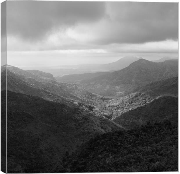 Black River Gorge Viewpoint in Mauritius Black and White Canvas Print by Dietmar Rauscher