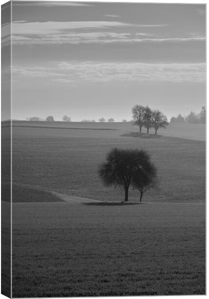 Spring Landscape in the Mostviertel of Lower Austria Canvas Print by Dietmar Rauscher