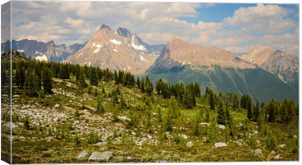 Jumbo Pass Mountain Landscape British Columbia Canada Canvas Print by Shawna and Damien Richard