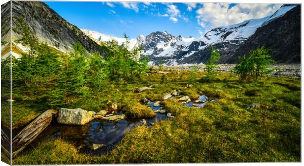 Mountain Meadow, British Columbia, Canada Canvas Print by Shawna and Damien Richard