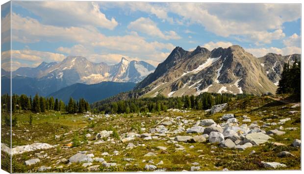 Bastille Mountain landscape Jumbo Pass British Columbia Canvas Print by Shawna and Damien Richard