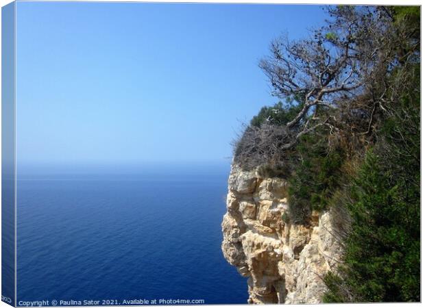 Hanging cliff rock with a pine tree Canvas Print by Paulina Sator