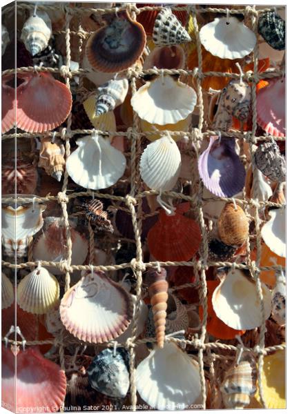Marinistic decoration with sea shells Canvas Print by Paulina Sator