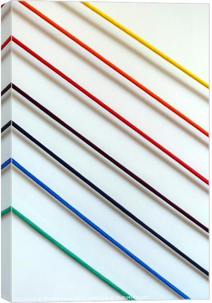 Rainbow strings Canvas Print by Paulina Sator