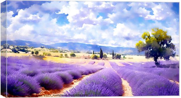 Lavender field Canvas Print by Paulina Sator
