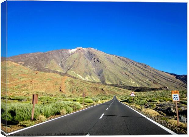 El Teide volcano. National Park of Tenerife Canvas Print by Paulina Sator