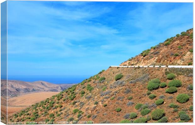 Fuerteventura mountains panorama Canvas Print by Paulina Sator