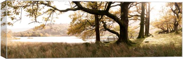 Rydal Water in autumn in the lake district Canvas Print by Sonny Ryse