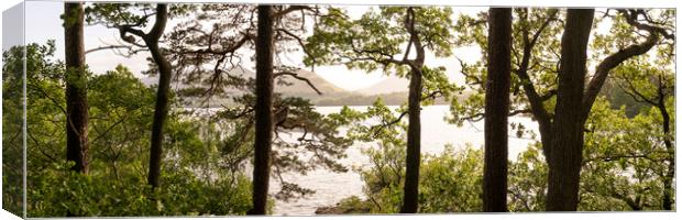 Derwentwater lake district Canvas Print by Sonny Ryse