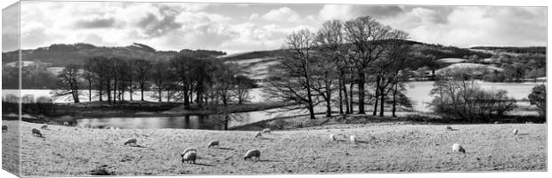 Esthwaite Water black and white Lake District Canvas Print by Sonny Ryse