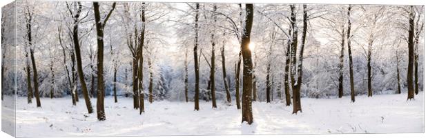 Fewston Woodland covered in Snow England Canvas Print by Sonny Ryse