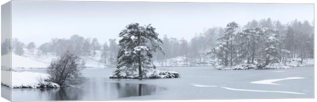 Frozen tarn hows covere din snow lake district Canvas Print by Sonny Ryse