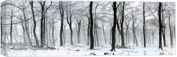 Swinsty woodland in winter Yorkshire Dales 2 Canvas Print by Sonny Ryse