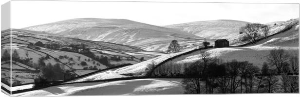 Thwaite in winter Swaledale Yorkshire Dales black and white Canvas Print by Sonny Ryse