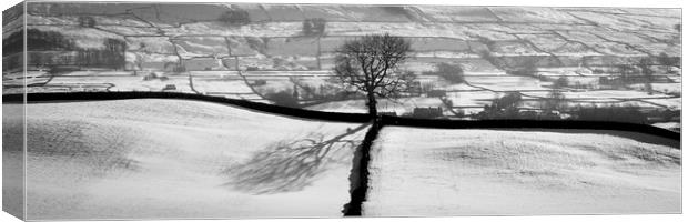 Wensleydale fields in winter in black and white yorkshire dales Canvas Print by Sonny Ryse