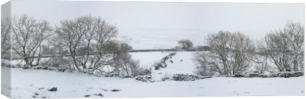 Yorkshire Dales in winter Canvas Print by Sonny Ryse