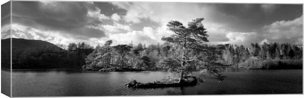 Tarn Hows Tree Black and white Lake District Canvas Print by Sonny Ryse