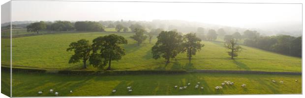 Nidderdale farm sheep Canvas Print by Sonny Ryse
