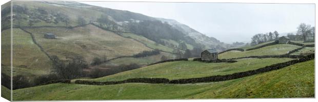 Thwaite in the Yorkshire Dales Swaledale as the snow falls Canvas Print by Sonny Ryse
