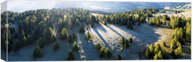 Seiser Alm trees drone DJI_0677-Pano-Edit Canvas Print by Sonny Ryse
