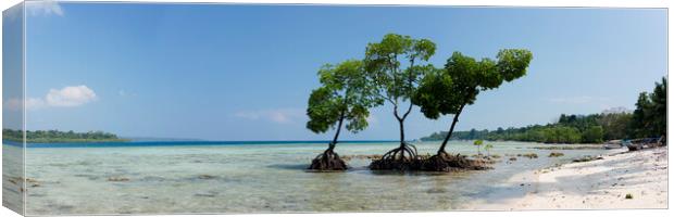 Havelock Island Mangroves Andamans 2 Canvas Print by Sonny Ryse