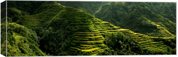 Banaue Rice terraces Philippines 2 Canvas Print by Sonny Ryse