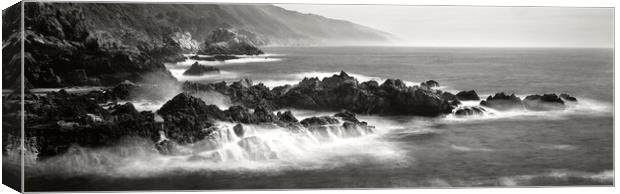 BIG SUR CALIFORNIA COAST Black and white Canvas Print by Sonny Ryse