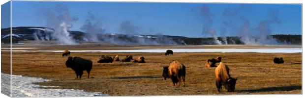Yellowstone National Park Byson and Geysers USA Canvas Print by Sonny Ryse