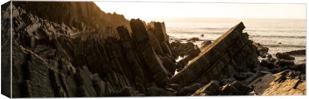 Hartland Quay North Devon south west coast path Canvas Print by Sonny Ryse