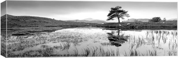 Kelly Hall Tarn Lake district black and white Canvas Print by Sonny Ryse