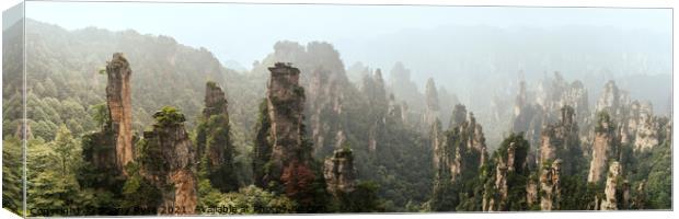 Zhangjiajie National Park Wulingyuan mountains forest Canvas Print by Sonny Ryse