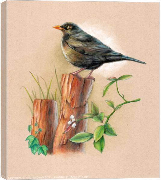 Blackbird on a wood pole Canvas Print by Andrea Danti