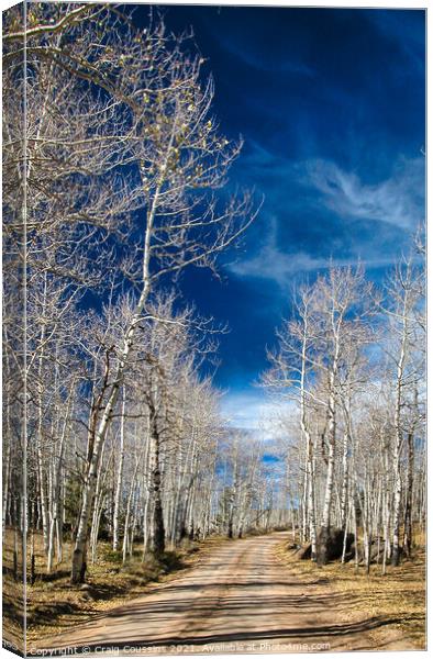 Aspens Winter, Wyoming Canvas Print by Wall Art by Craig Cusins