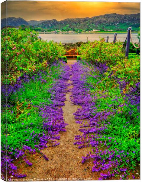 Pathway to peace Canvas Print by Wall Art by Craig Cusins