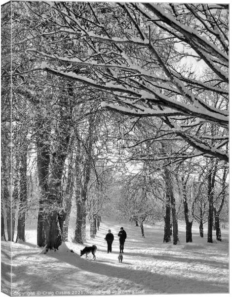 A winter walk in the park Canvas Print by Wall Art by Craig Cusins