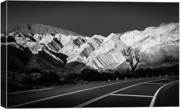 Road to Atacama - RN-52 Canvas Print by Joao Carlos E. Filho