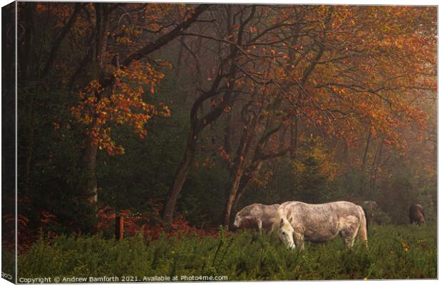 Autumn on Holt Lowes  Canvas Print by Andrew Bamforth